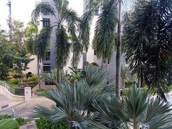Carissa Park Condominium (D17), Condominium #581232951